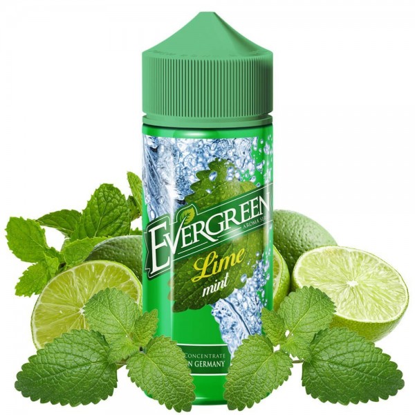 Evergreen - Lime Mint
